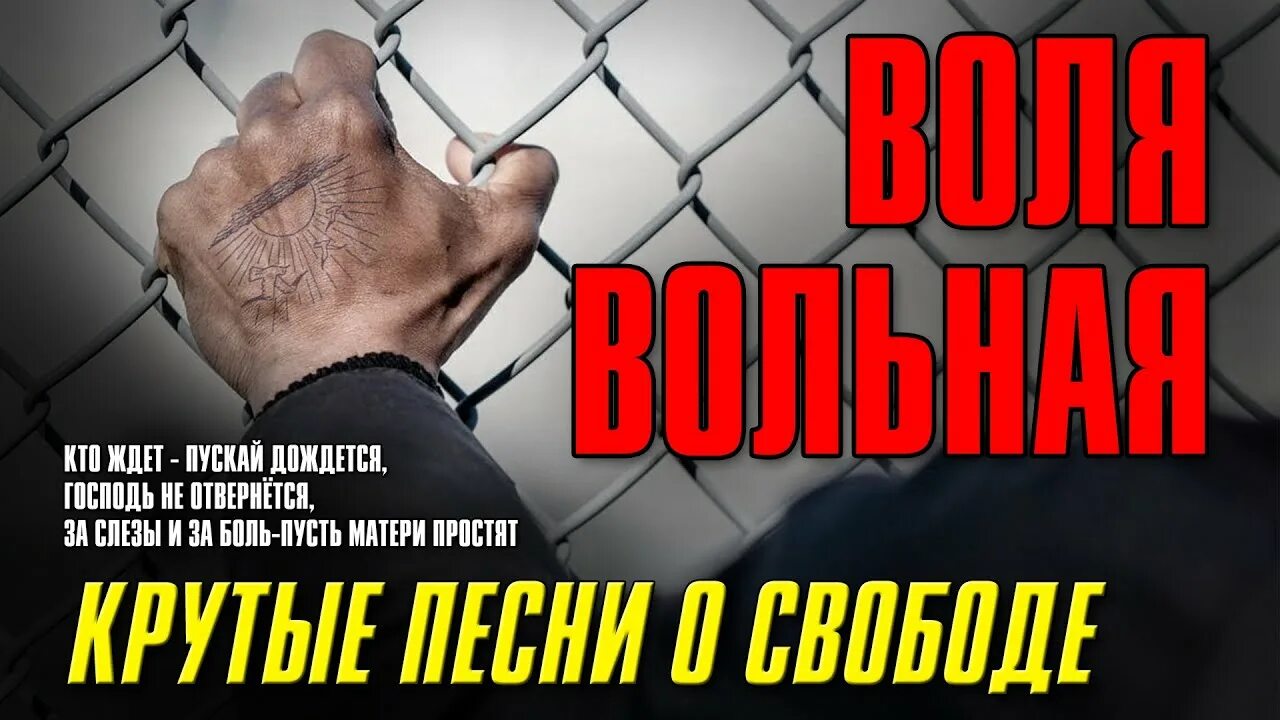 Бутырка курский. Воля Вольная. Спрячь за решеткой ты вольную волю. Вольному Воля фото.