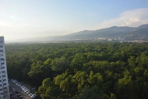 Роща в новороссийске