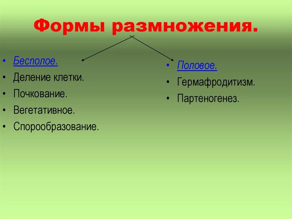 Каковы особенности бесполого размножения кратко. Типы размножения половое и бесполое. Формы размножение бесполое и половое. Виды полового и бесполого размножения. Виды бесполого размножения и полового размножения.