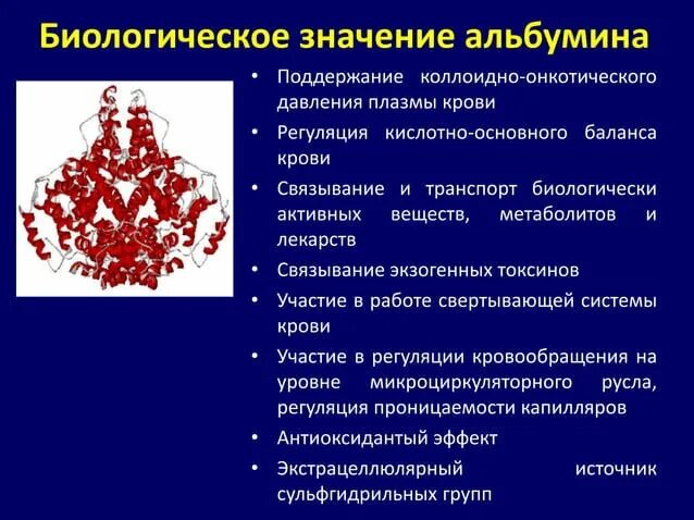 Регуляция онкотического давления крови. Альбумин биохимия крови. Альбумины плазмы. Биологическое значение онкотического давления. Альбумины повышены у мужчины