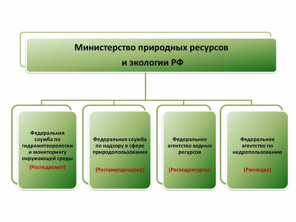 Телефон министерства природных ресурсов. Министерство охраны окружающей среды России. Министерство экологии и природных ресурсов РТ. Министерство природных ресурсов и экологии Иркутской области. Министерство природных ресурсов и экологии Республики Бурятия.