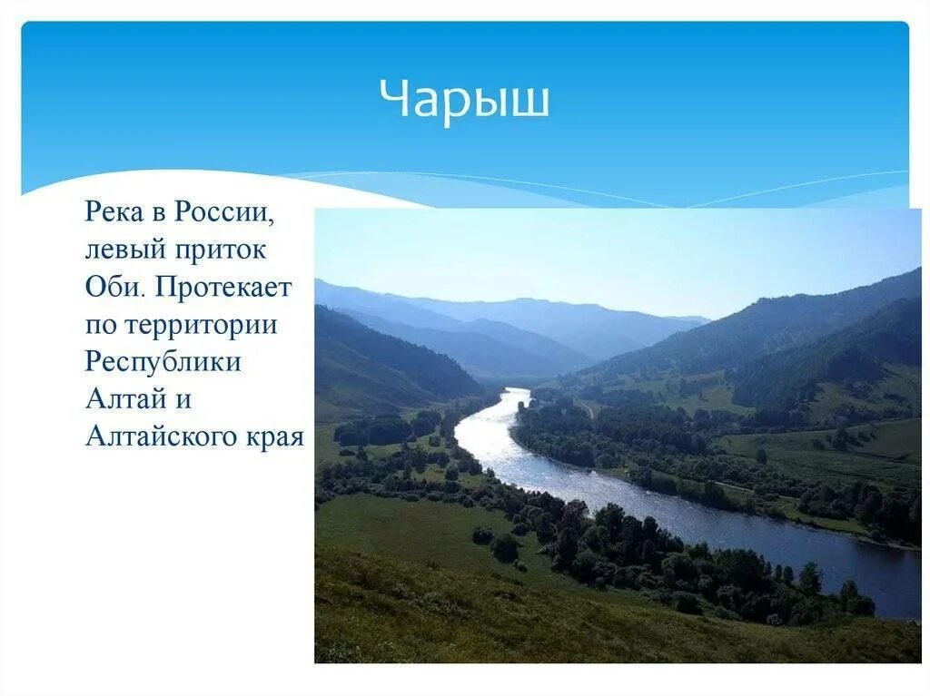 Притоки течения реки обь. Чарыш река приток оби. притоки реки чарыш. описание реки чарыш алтайского края. река чарыш республика алтай.