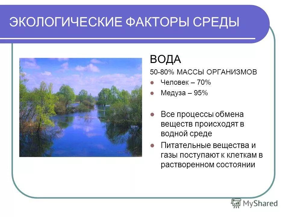 Экологический фактор вода. Вода - важнейший экологический фактор. Лимитирующие факторы водной среды. Основные факторы водной среды. Абиотические факторы это факторы.