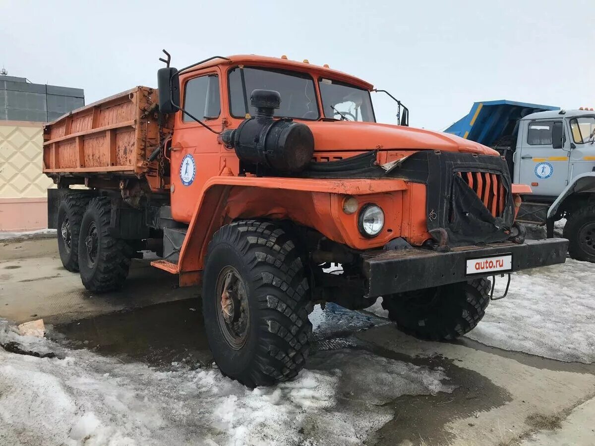 Урал-4320 грузовой. Автомобиль урал урал 4320. Урал-4320 грузовой автомобиль шасси. Списанный урал 5557. Урал 4320 грузовой бортовой.