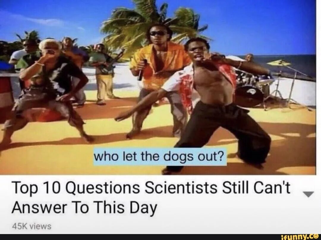 Who let the dogs out baha men. Baha men - who Let the Dogs out. Who Lets the. Who Let the Dogs out клип. Baha men who Let the Dogs out Single Cover.