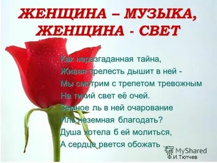Женщина света песня