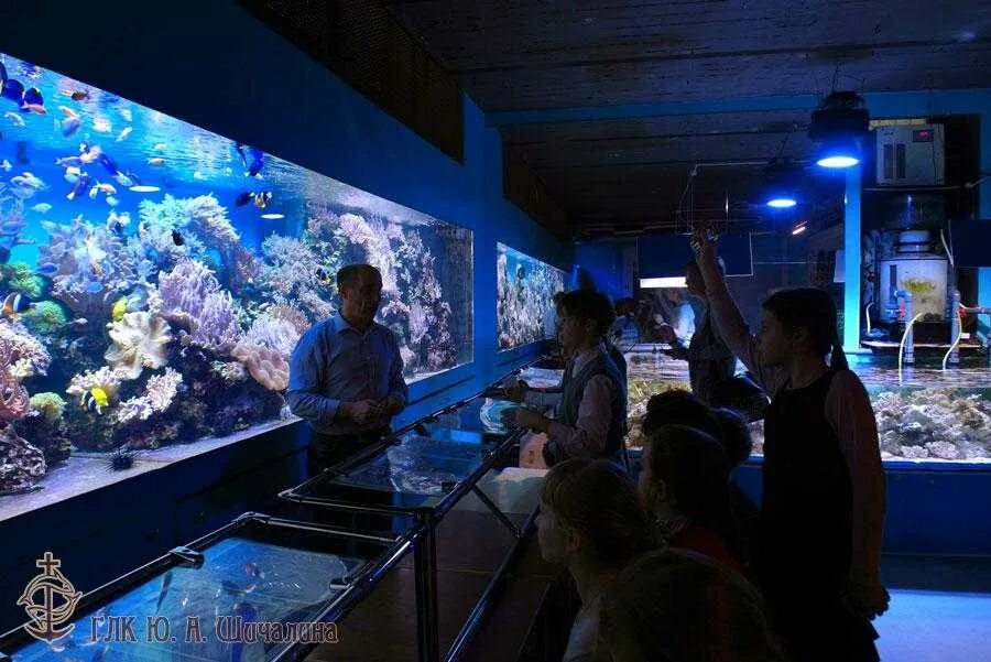 Океанариум на чистых прудах. Океанариум на чистых прудах. Аквариум на чистопрудном бульваре. Аквариум магазин на чистых прудах. Московский аквариум на чистых прудах.