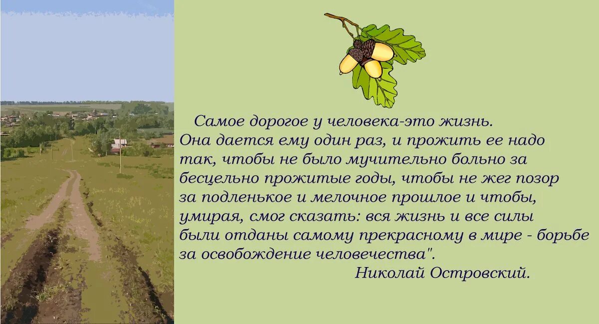 И стала самым дорогим