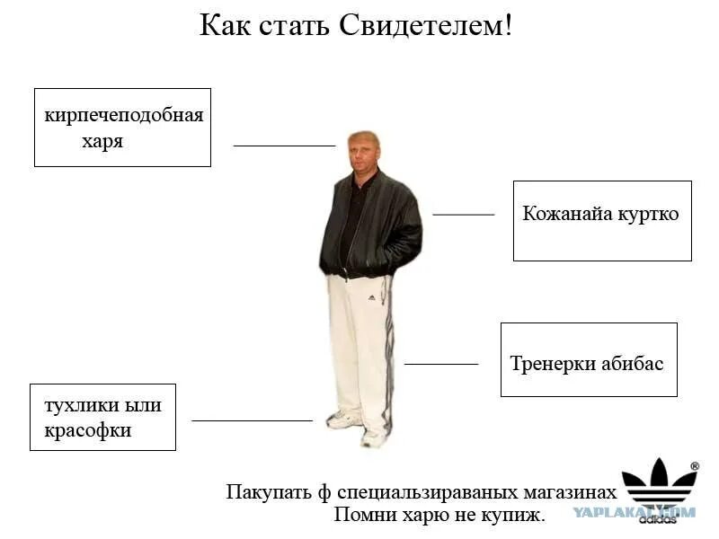 Человека ставшим свидетелем его. Свидетель из Фрязино. Свидетель из Фрязино мемы. Cdbltntkm BP nahzpbyj.