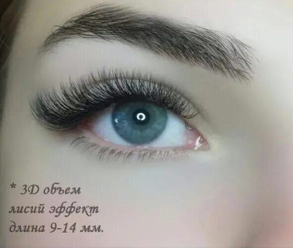 Кукольный эффект длина. Ресницы 2д лисий эффект 12мм. лисий эффект наращивание классика 2д изгиб. схема наращивания ресниц лисий эффект 2д изгиб с. ресницы лисий эффект 2d 12 мм.