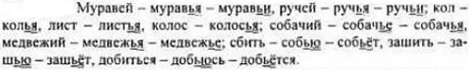 Упр 56 5 класс. Русский язык 5 класс упражнение 56. Воробей воробья воробьи муравей ручей Кол колья лист Колос. Измените слова по образцам и запишите 56.