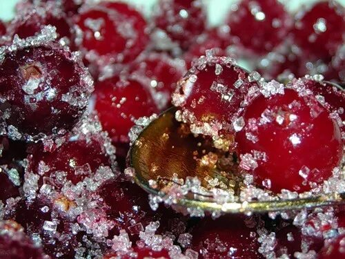 черешня в сахаре. варенье из вишни. замороженные фрукты. ягоды в сахаре. засахаренная вишня.