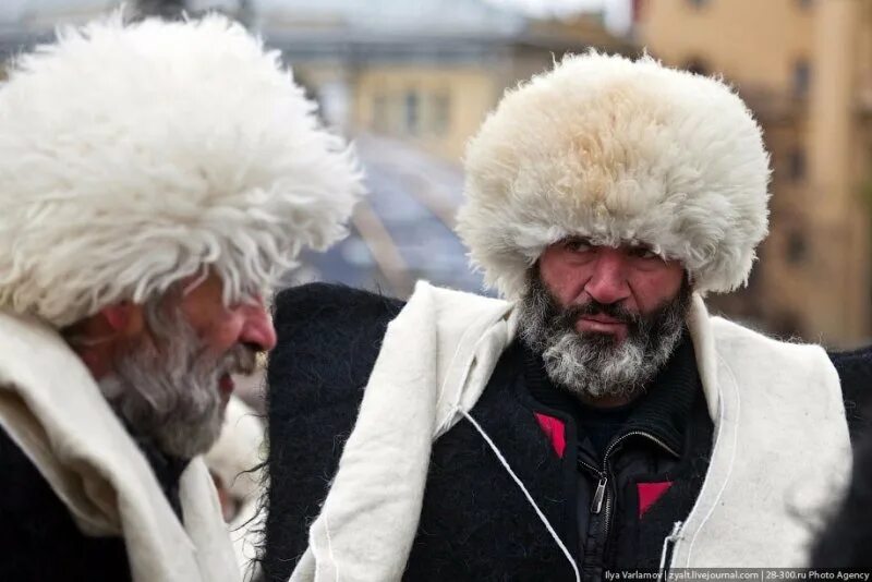 Аксакал это что значит. Мудрые советы аксакалов. Афоризмы аксакалов. Молодой аксакал. Портрет аксакал.