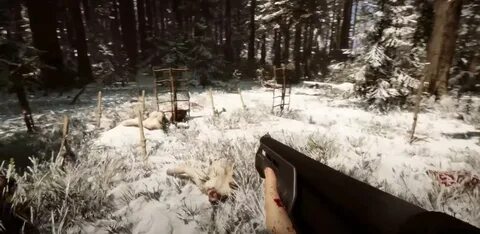 Sons of the forest пк