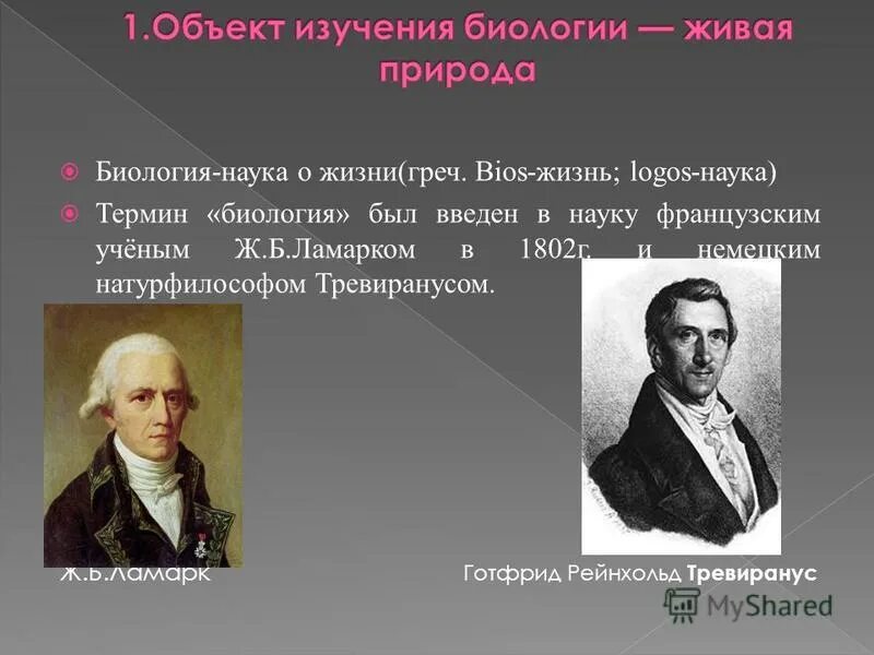 Объект изучения биологии 3