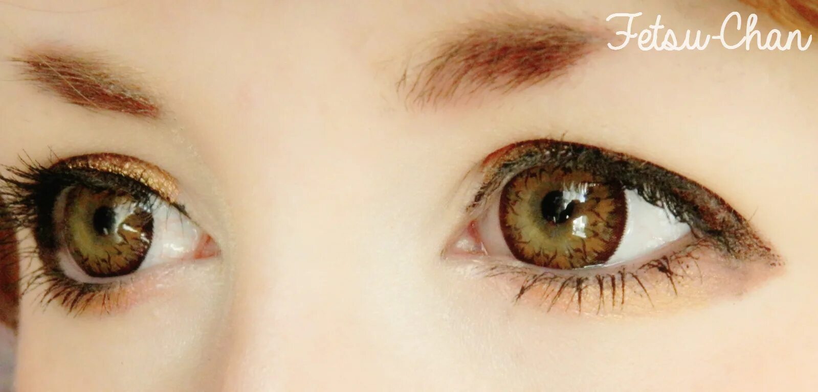 Their eyes glow in the dark. Gold eyes, Beautiful eyes color, Aesthetic eyes