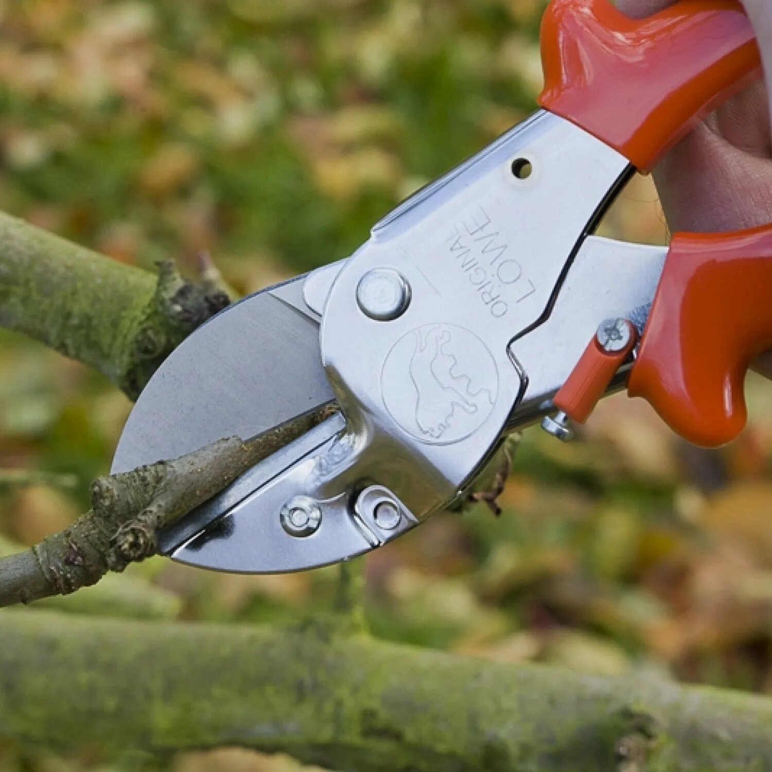 101 001 01. 1. 101 001 01. 601 а. 01.