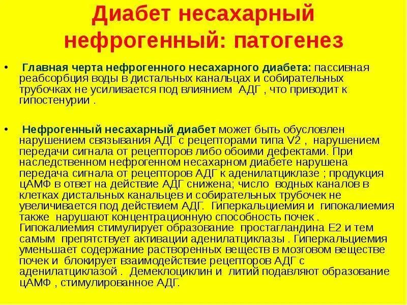 Нефрогенный несахарный диабет. Нефрогенный несахарный диабет патогенез. Несахарный диабет механизм развития. Нефрогенный несахарный диабет причины. Несахарный диабет развивается в результате