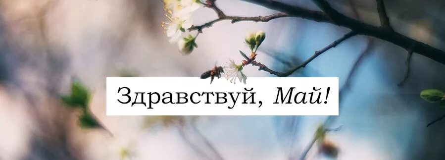 Май май 30 минут. Здравствуй май. Ну Здравствуй май. Месяц май с надписью. Открытки Здравствуй май.