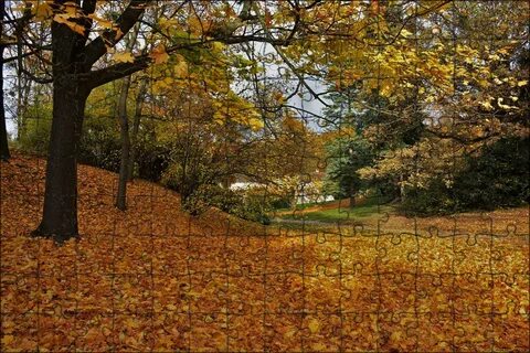 Майский осень