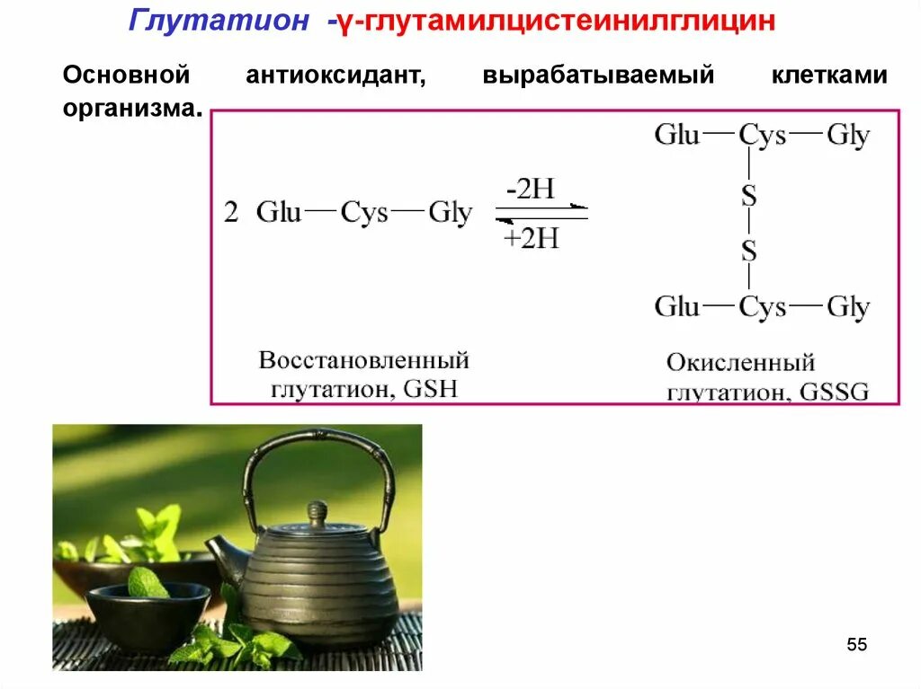 Глутатион окисленный и восстановленный. Глутатион окисленный формула. Глутатион антиоксидант биохимия. Глутатионовая система антиоксидантной защиты. Окисление биополимеров