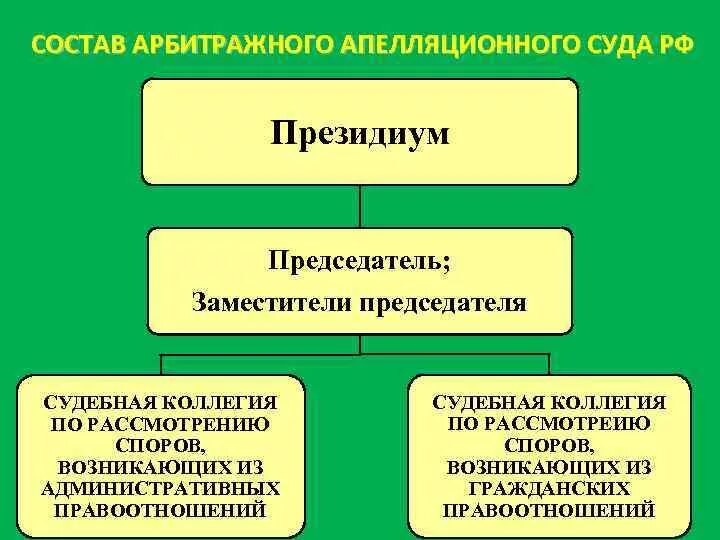 Арбитражных судов округов в рф. Арбитражные апелляционные суды структура. Структурные подразделения арбитражного апелляционного суда. Структура арбитражных апелляционных судов. Состав арбитражного апелляционного суда схема.