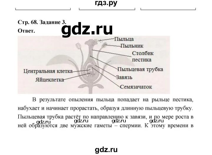 Биология 6 класс страница 124 вопросы