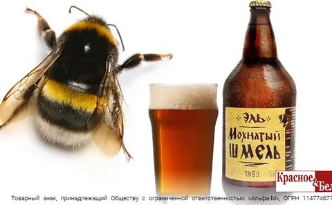 Предложение мохнатый шмель