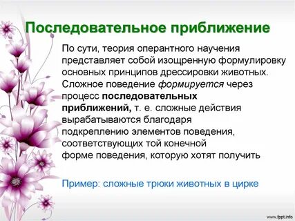 Что представляет собой метод в c