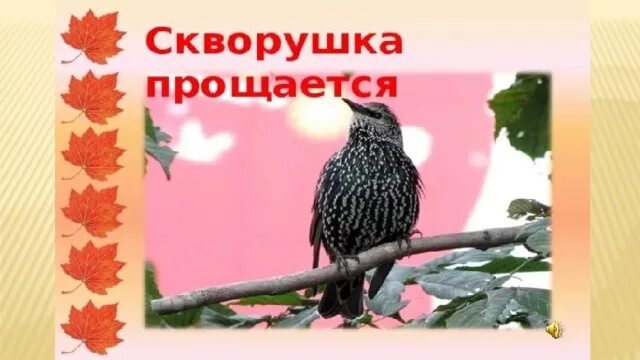 А скворушка завистлив был к несчастью схема. Скворушка прощается. Песня Скворушка прощается. Скворушка прощается картина. Осень Скворушка.