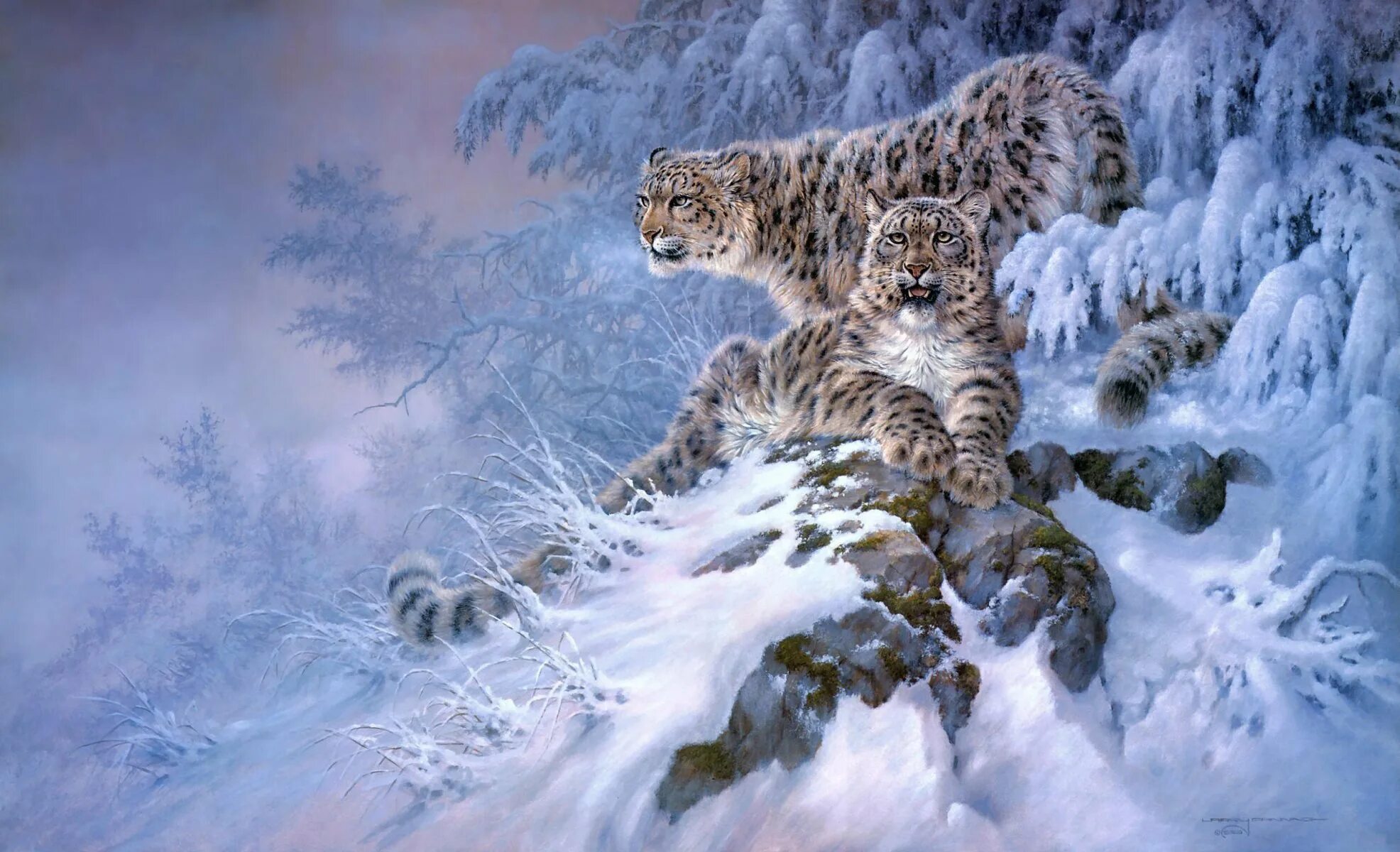 Новый барс. Художник ларри фаннинг. снежный барс леопард snow leopard ирбис. снежный барс ирбис зимой. винтер сноу арт.