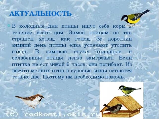 Проект птицы зимой. Проект зимующие птицы. Рассказ о зимующих птицах. Птицы зимой текст.