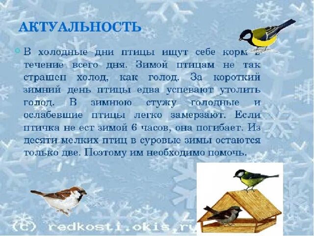 #КивачЗимаСинички 2023 Экологическая академия МДОУ "Детский сад № 115 " ВКонтакт