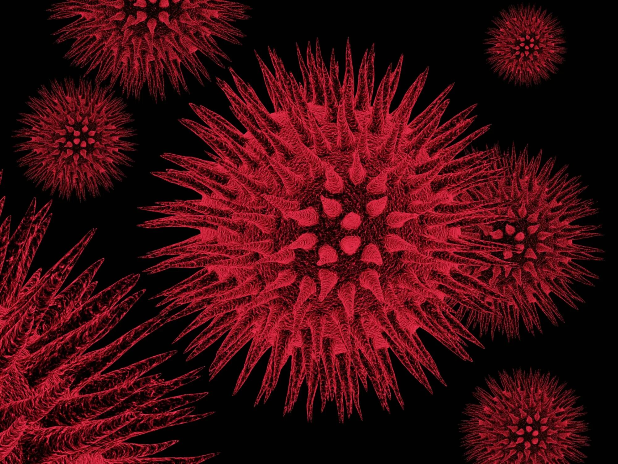 Virus neshta. Virus neshta
