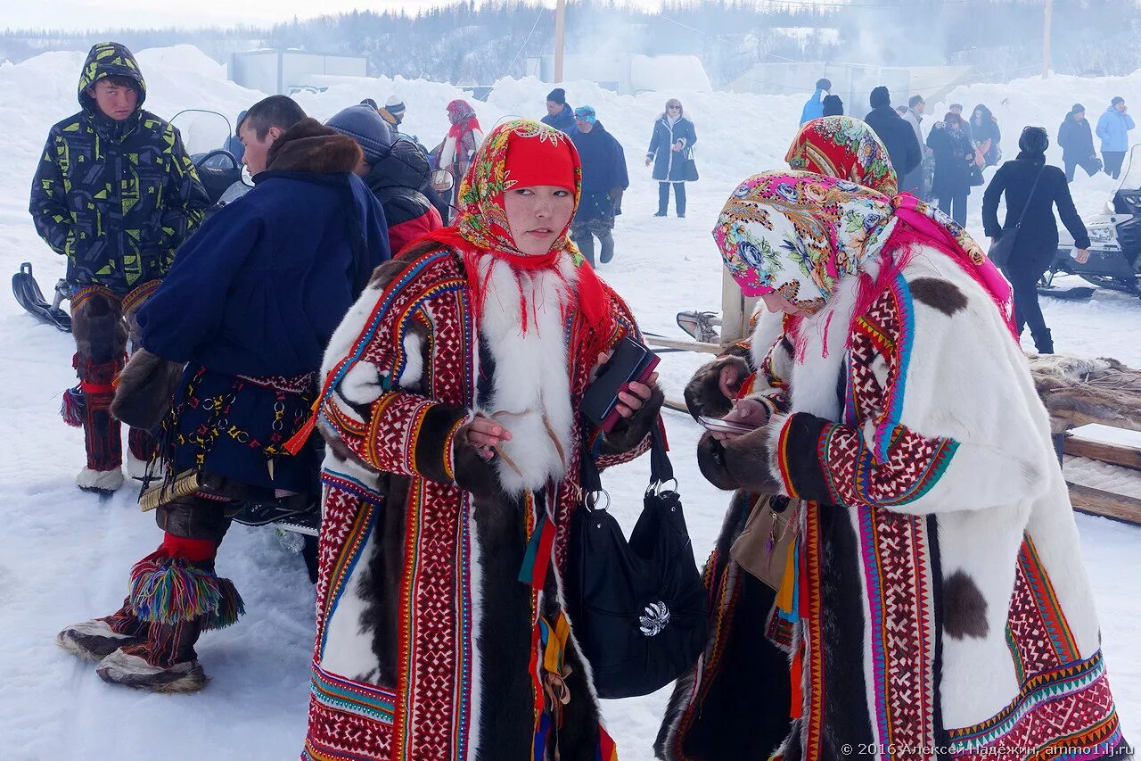 праздник оленеводов в русскинской. ненцы ямала день оленевода. ненцы день оленевода. дне оленевода. дне оленевода.