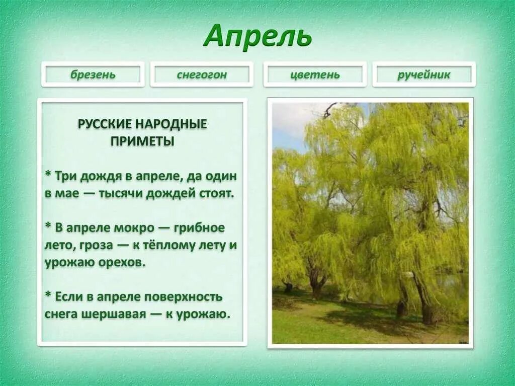 Погодные приметы на март. Приметы апреля. Приметы апреля народные. Приметы весны апрель.