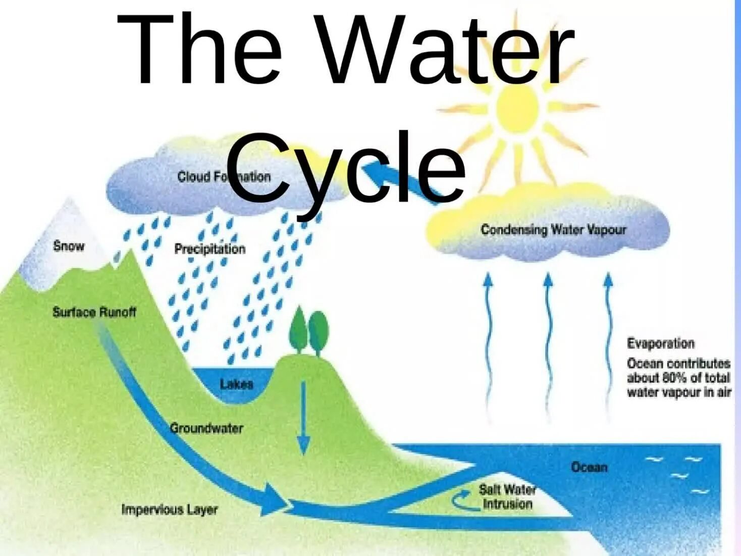 Water Cycle diagram. Круговорот воды в природе на английском. IELTS writing task 1 process Water Cycle. Writing Water Cycle.