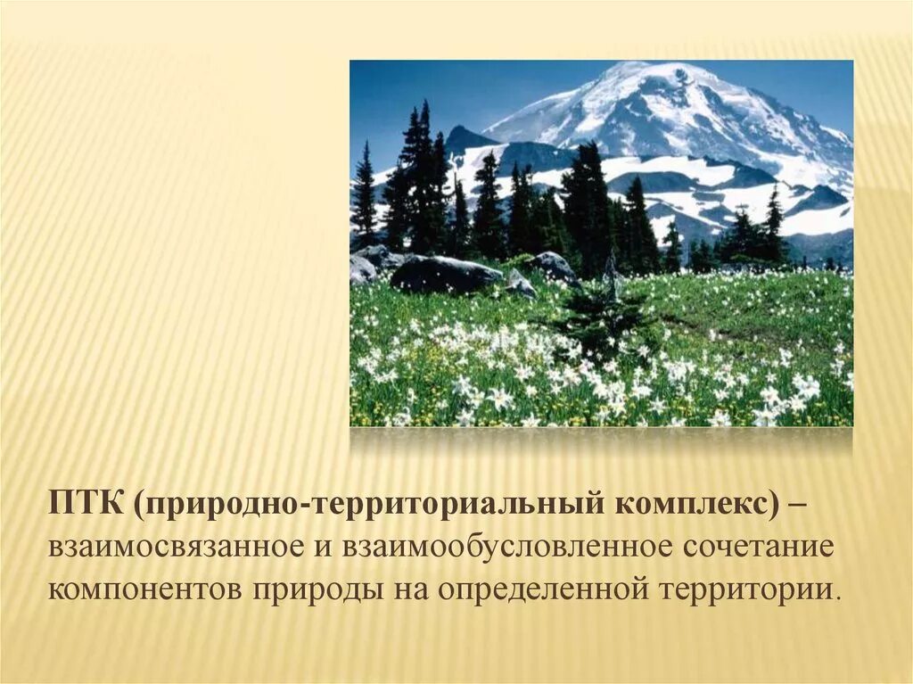 Природные ПТК. Разнообразие природных комплексов России. Природный территориальный комплекс. Разнообразие природных территориальных комплексов. Чем меньше природный комплекс тем он