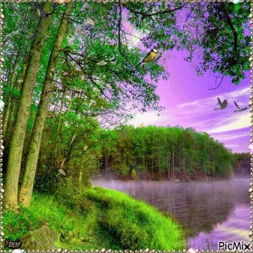 Мерцающие природа. Сверкающая природа. блестящий природа.
