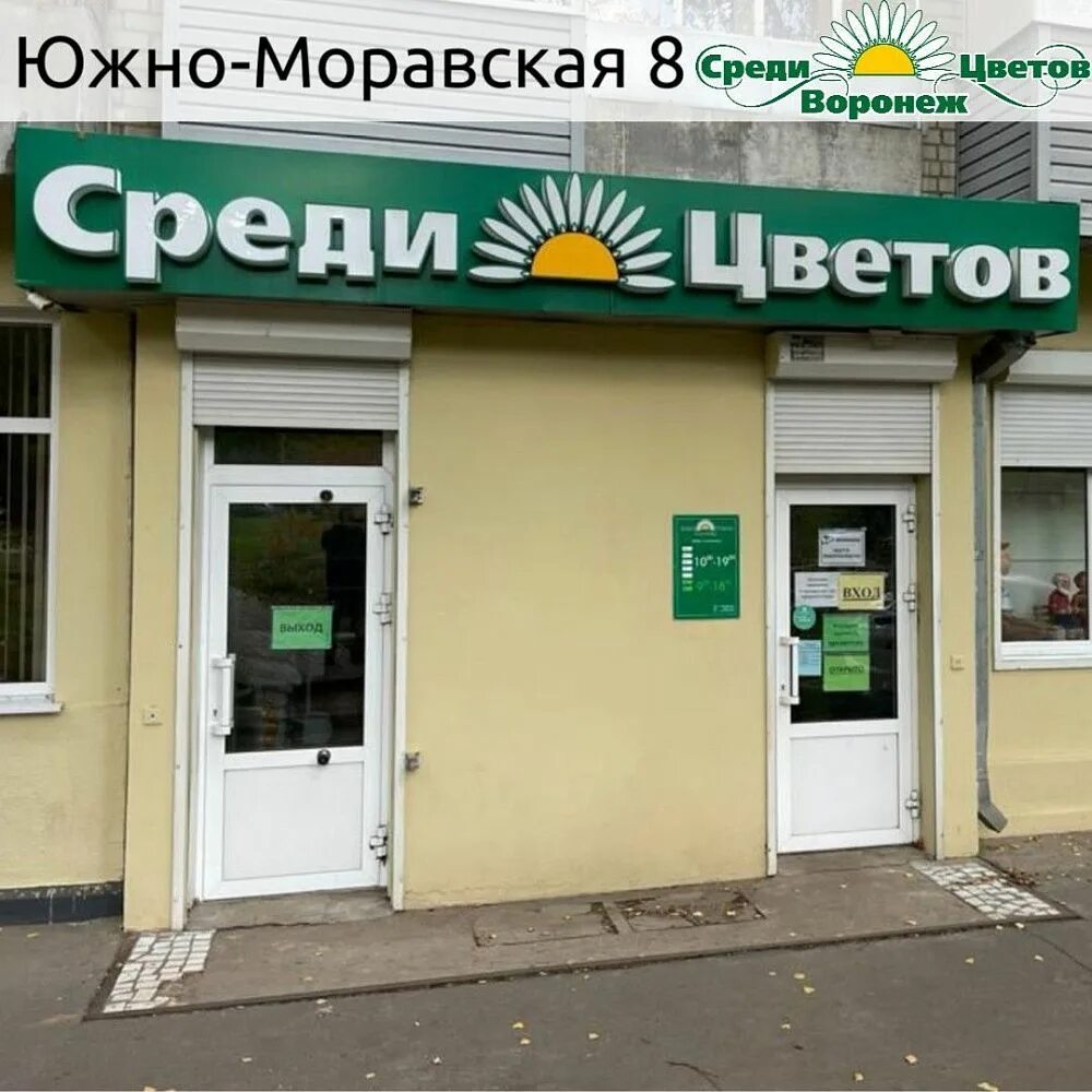 Цветы южно моравская воронеж. Южно моравская 30 воронеж. Магазин среди цветов воронеж на южно моравской. Среди цветов воронеж южно-моравская 8. Южно — моравская, 42.