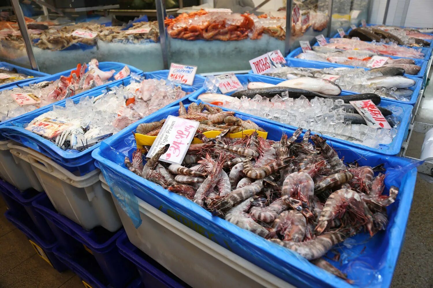 рыба на прилавке. кемальпаша турция рыбный рынок. токио рынок морепродуктов. рыбный рынок пун капе стамбул. рыбный базар.