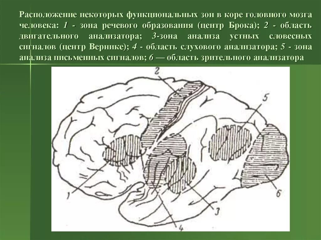 Местоположение некоторые