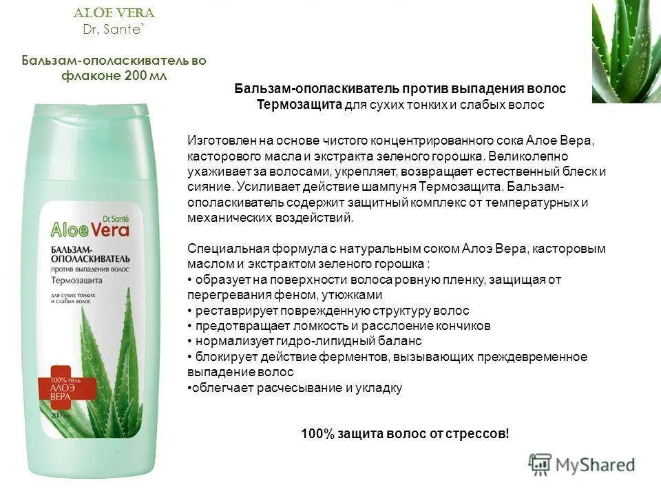 Aloe vera применение. Алоэ для укрепления волос. Алоэ для выпадения волос. Сок алоэ для волос от выпадения.