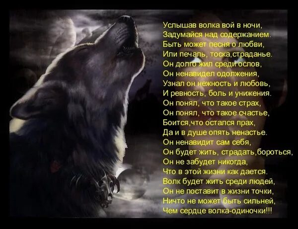 Воет днем человек. Волк в тоске. Душа волка. На душе волки воют. Волк воет от одиночества.