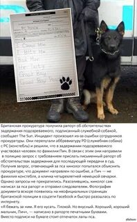 Спишите собаку