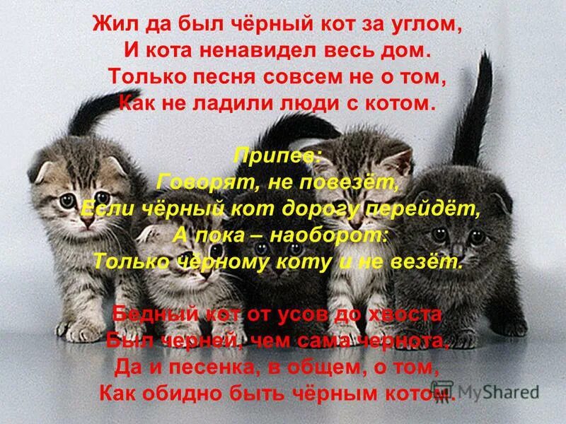 Песня жили котята