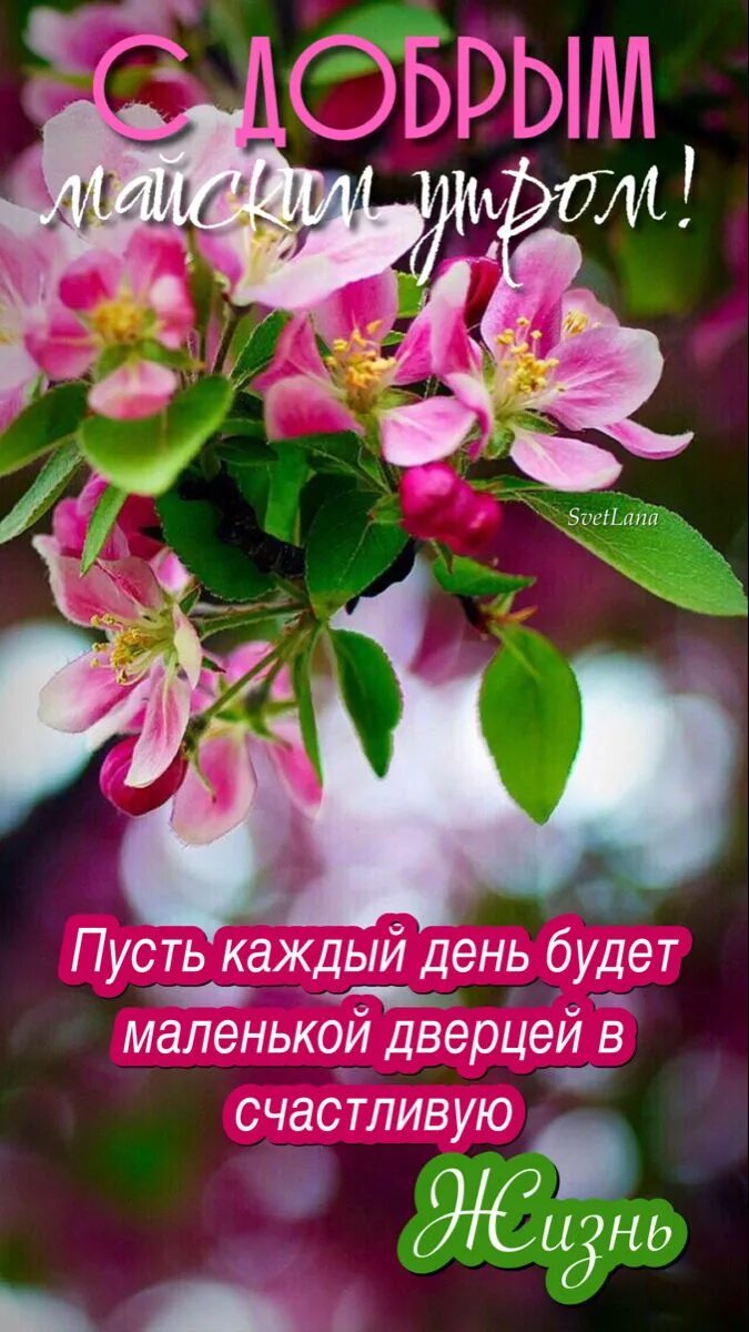 Доброе утро мая добрых мыслей