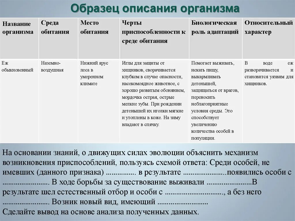 Приспособленность организмов к среде обитания. Выявление приспособлений к среде обитания. Вид среда обитания черты приспособленности. Черты приспособленности организмов к среде обитания.