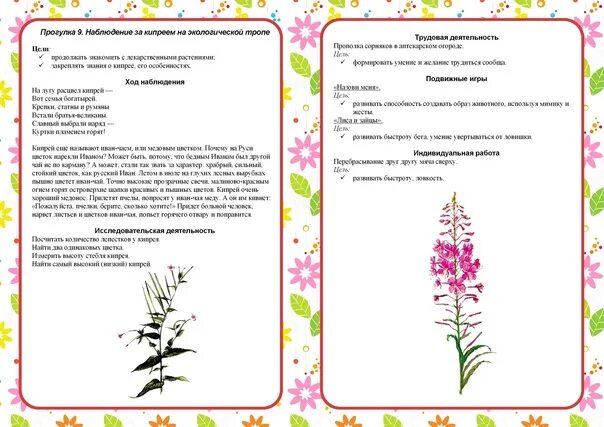 Прогулки средняя группа по месяцам. Сентябрь картотека прогулок подготовительная группа. Наблюдения в подготовительной группе. Прогулки подготовительная группа. Картотека прогулок в подготовительной группе.