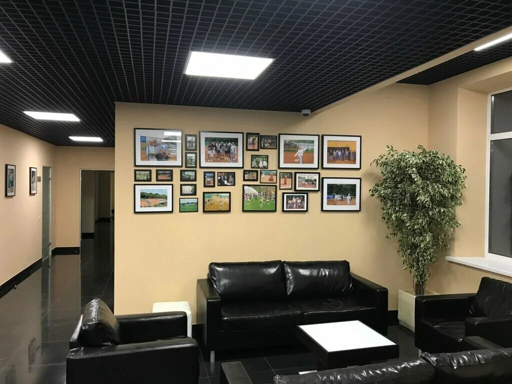 спортзал ссср железнодорожный. балашихинский клуб спортивных голубей. павлино 1а фитнес. лагерь патриот в балашихе. Vanjiev team mma балашиха.